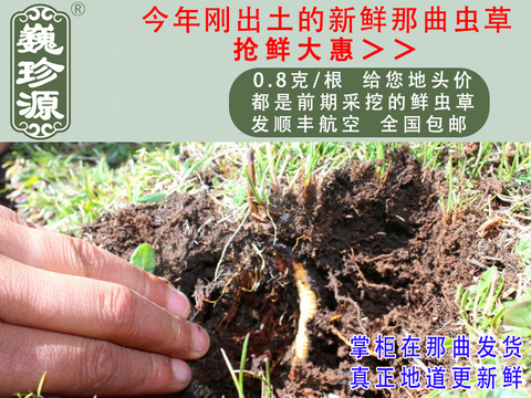 ���r�x�ݣ����r���x�Ĳ������r�x���^����Ρ��Դ0.8��/�����r�����x���^���������ڳ�����Ұ���������r�x��