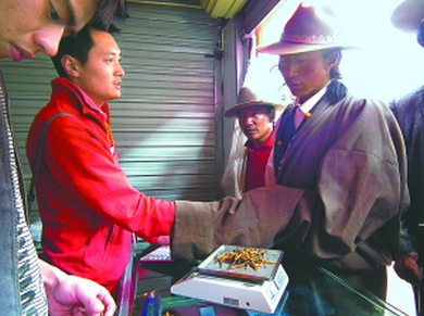 ���x�Ĳ��I�u,�����x�ݽ������Z,�x���I�uӑ�r߀�r�ð��Z