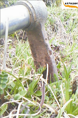 ���x�Ĳ������Ӳ��ڳ�����?����l(f��)�F(xi��n)һ�����x�Ĳ�,�ʂ�Ѷ��x�Ĳݲ��ڳ���